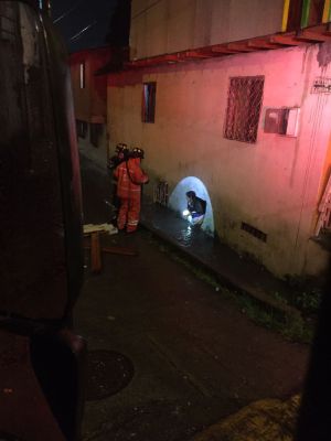 Bomberos rescataron adulta mayor atrapada por inundación en Armenia Bomberos rescataron adulta mayor atrapada por inundación en Armenia