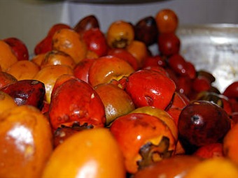 Chontaduro: Poderosa fuente de antioxidantes