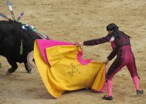 Los Toros en la Feria de San Isidro