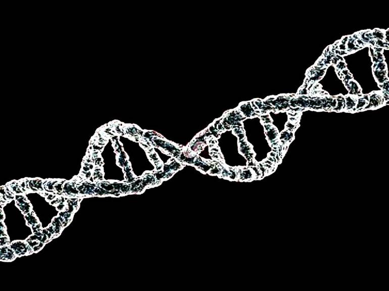 Enfermedad de Gaucher: Enfermedad de Gaucher:
Patología que deteriora la calidad de vida