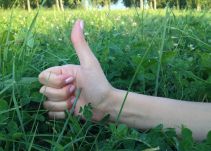 Top de Noticias Positivas de 2016