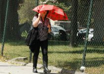 Es prioritario que los botoganos se protejan del sol: dermatólogo