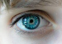 Los ojos reciben y proyectan imágenes