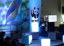 Cerca de la mitad de los ecosistemas del país están en peligro