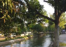 Aracataca, el Macondo de las historias