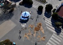 Influencia del perro de tierra en el resto del Horóscopo Chino