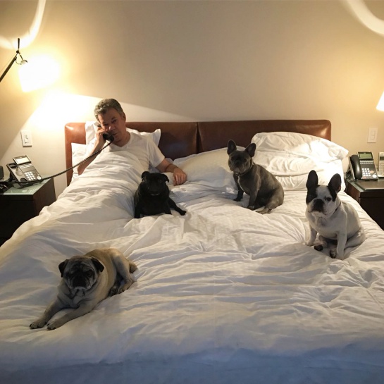 la foto del presidente y sus perros: ¿Quién es quién en la foto del presidente y sus perros? la foto del presidente y sus perros: ¿Quién es quién en la foto del presidente y sus perros?