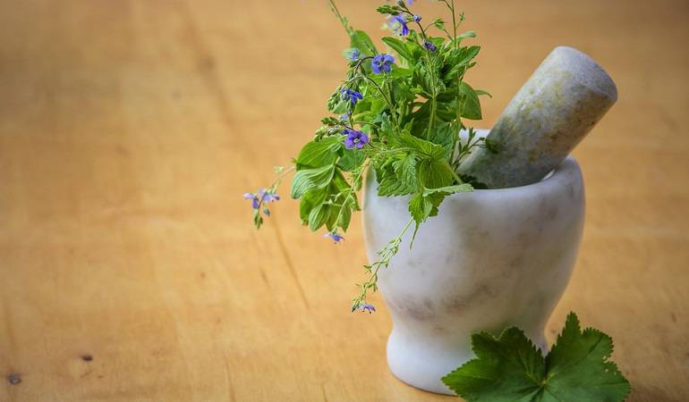 Lo Más Caracol: Medicina naturopática, preventiva y curadora