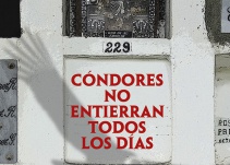 Cóndores no entierran todos los días