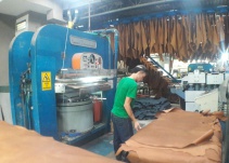 En el Quindío se están produciendo los mejores cueros de Colombia