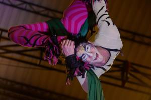 El circo pasión a través del lente El circo pasión a través del lente