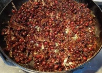 ¿Le gusta comer las hormigas culonas? Así viven, así se cocinan