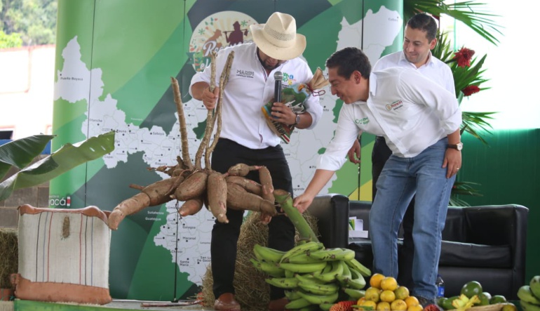 Al Campo programa La Finca: En Boyacá crean incentivo de capitalización para el agro