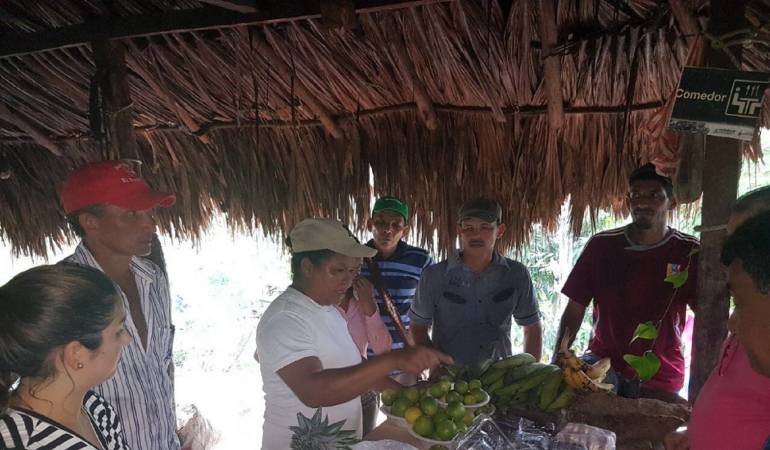 Campesinos de Montes de María ahora cultivan la tierra
