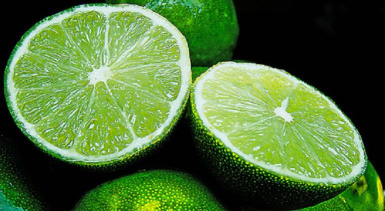 Limones enfermedades: ICA fortalece protección a los cítricos ante la bacteria HLB