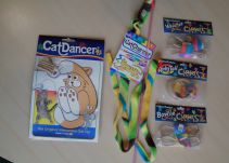 Concurso gatuno en Mascotas Caracol