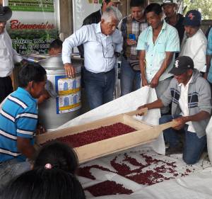 Fenalce granos: Así se cuidan los granos de cereales y leguminosas, llamados perecederos Fenalce granos: Así se cuidan los granos de cereales y leguminosas, llamados perecederos