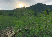 Fronteras de selva y mar para la paz en el Chocó