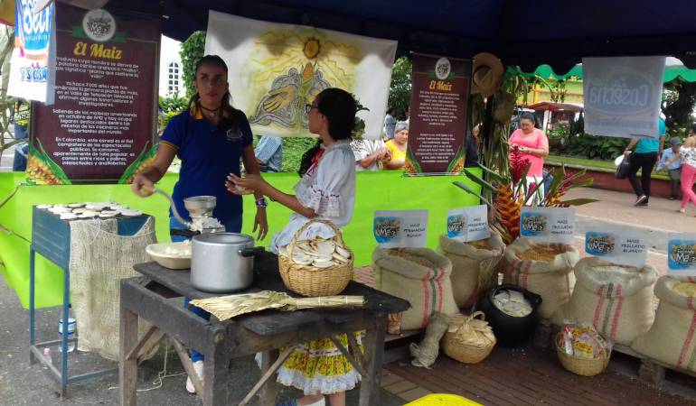 cultivos Maíz: Llegó la Fiesta del Maíz a Barcelona, Quindío