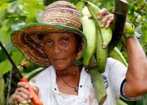 Programas de la UE serán mostrados en Expo Agrofuturo