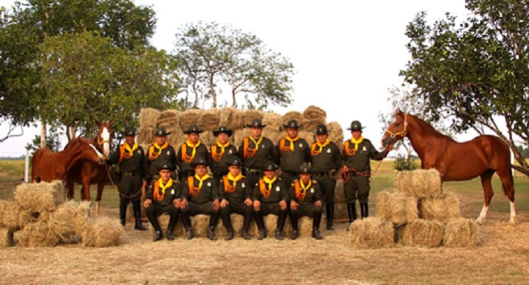 Policia campo: Policía Montada del Huila lleva al campo mensajes de paz y esperanza