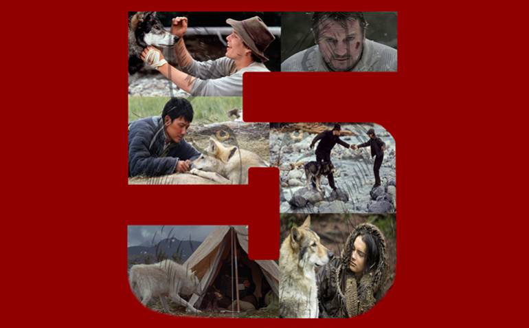 Top 5 de películas sobre relación entre hombres y lobos: Top 5 de películas sobre relaciones entre hombres y lobos
