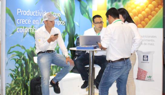 Maiz importado: Colombia aspira a producir el 80% del maíz que consume, antes de 2030 Maiz importado: Colombia aspira a producir el 80% del maíz que consume, antes de 2030