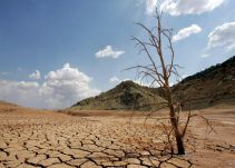 La tierra, su mal uso y la desertificación