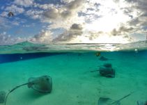 "Alejandro Ordosgoitia" muestra con sus fotos el encanto de San Andrés
