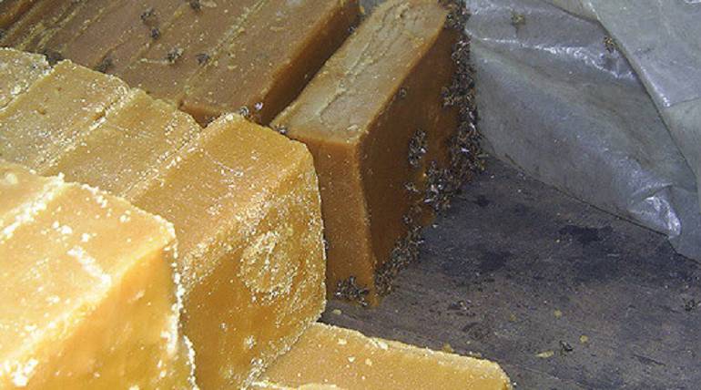 Paneleros crisis precios: Bajos precios de la panela tienen en aprieto a sus productores