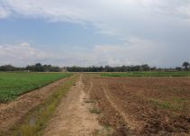El banco aliado del campo colombiano