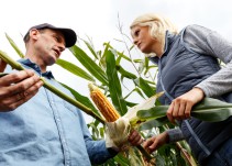 Fertilizantes, los alimentos de nuestro alimento