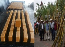 Isnos ya produce panela tipo exportación