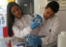 Bolsas de papel a partir de los residuos de la mata de plátano