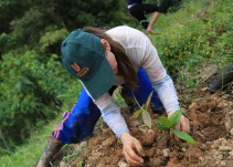 Campesinos avanzan en proyecto de ley en busca de condonar sus deudas