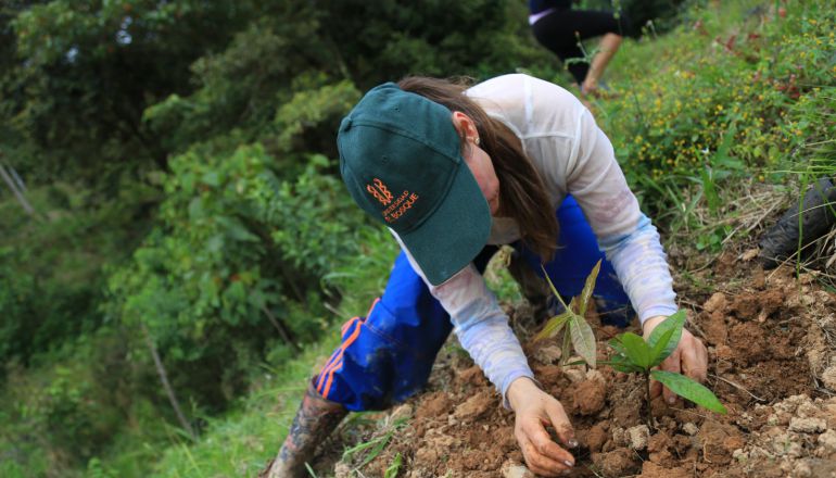 Proyectos de ley: Campesinos avanzan en proyecto de ley en busca de condonar sus deudas