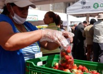 Vamos a mercar: hay buena oferta de pescado