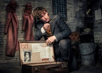 Animales Fantásticos: Los Crímenes de Grindelwald, el JKREU