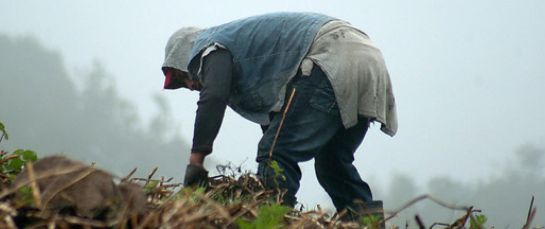 Ministro Agricultura Andrés Valencia: Este 2019 es muy prometedor para el campo Ministro Agricultura Andrés Valencia: Este 2019 es muy prometedor para el campo