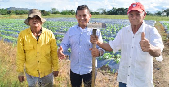 Cultivos en Tolima Parcelas Demostrativas: No solo de arroz vive Ibagué Cultivos en Tolima Parcelas Demostrativas: No solo de arroz vive Ibagué