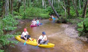 El Kayak se puede hacer desde cualquier río, incluso en el río amazonas. El Kayak se puede hacer desde cualquier río, incluso en el río amazonas.