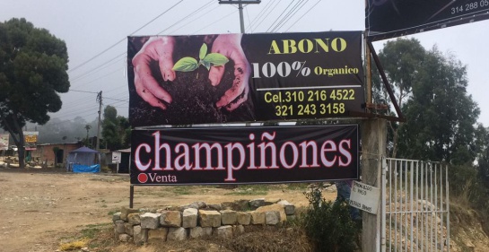 Fertilizantes abonos orgánicos: La champiñonaza, un abono de alta calidad Fertilizantes abonos orgánicos: La champiñonaza, un abono de alta calidad
