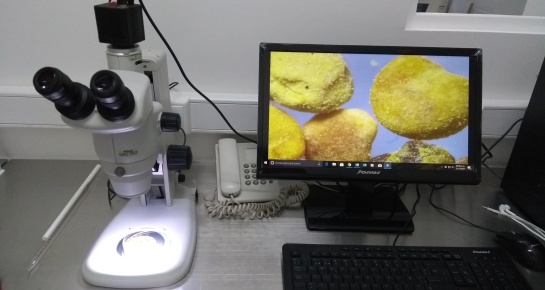 CaracolAlCampo Abejas: Así es el primer laboratorio apícola de Colombia CaracolAlCampo Abejas: Así es el primer laboratorio apícola de Colombia