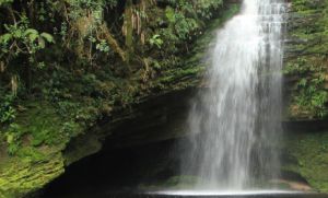 El parque es un lugar para respirar naturaleza. El parque es un lugar para respirar naturaleza.