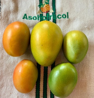 Mangos Mangos