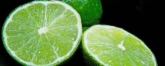 Dragón amarillo cítricos: Fortalecen controles para detener el HLB, el ‘cáncer’ del limón Dragón amarillo cítricos: Fortalecen controles para detener el HLB, el ‘cáncer’ del limón