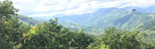 Dia Nacional del Campesino Colombia: “El campo es calidad de vida” Dia Nacional del Campesino Colombia: “El campo es calidad de vida”