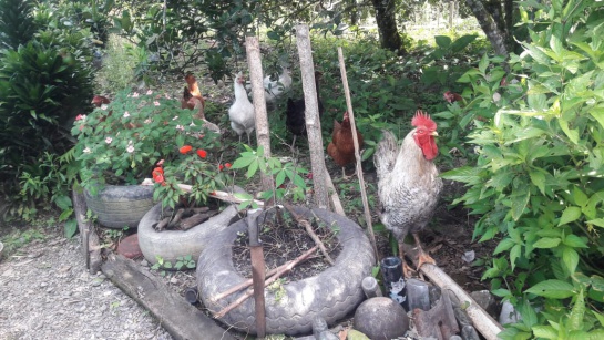 Día Nacional del Campesino Colombia: “Si a un niño le preguntan de dónde sale la leche, dice que de la bolsa” Día Nacional del Campesino Colombia: “Si a un niño le preguntan de dónde sale la leche, dice que de la bolsa”