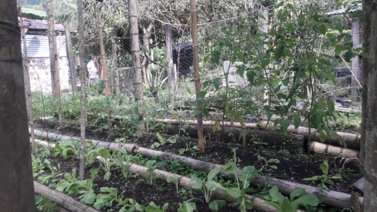 Día Nacional del Campesino Colombia: “Si a un niño le preguntan de dónde sale la leche, dice que de la bolsa” Día Nacional del Campesino Colombia: “Si a un niño le preguntan de dónde sale la leche, dice que de la bolsa”