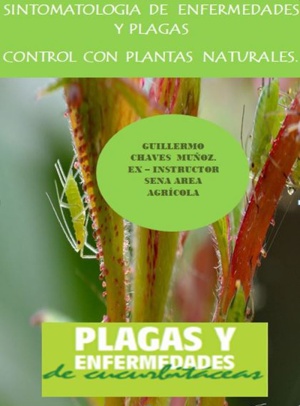 Amenaza plagas agro: Evite los químicos en el control de plagas: agrónomo Guillermo Chávez Amenaza plagas agro: Evite los químicos en el control de plagas: agrónomo Guillermo Chávez